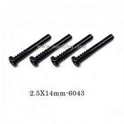 Suchiyu Parts 6043 Screw 2.5X14mm For SCY 16101/16101 PRO RC Car