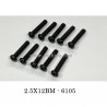 Suchiyu Parts 6105 Screw 2.5X12BM For SCY 16101/16101 PRO RC Car