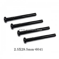 Suchiyu RC Parts 6041 Screw For SCY 16101/16102/16103/16104/16106/16201 RC Car