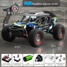 Suchiyu SCY 16106 PRO Brushless 1/16 4WD Desert Car.