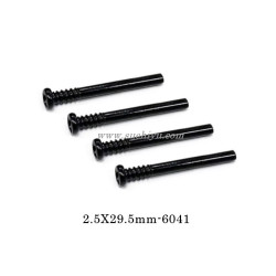 SCY 16307PRO Parts 6041 2.5X29.5mm Screw