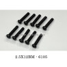 SCY 16307PRO Parts 6105 2.5X12mm Screw