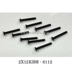 SCY 16307PRO Parts 6112 2X12mm Screw