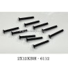SCY 16307PRO Parts 6112 2X12mm Screw