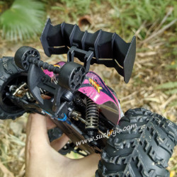 SCY 16101 PRO Brushless RC Car