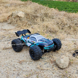 SCY 16101 PRO Brushless RC Car