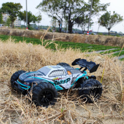 SCY 16101 PRO RC Car