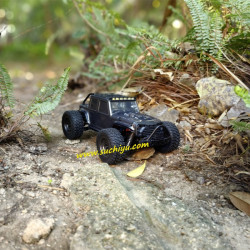 Suchiyu SCY 16103 1/16 2.4G 4WD Hgh Speed RC Car