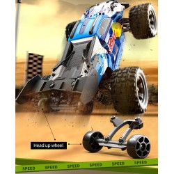 Suchiyu 18101 pro brushless rc car