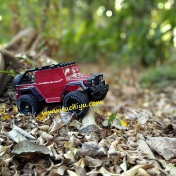 suchiyu 16104 pro brushless rc car