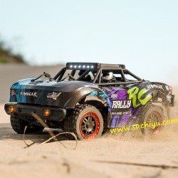 Suchiyu SCY 18103 1/18 Full Scale Remote Control 4WD Short Truck