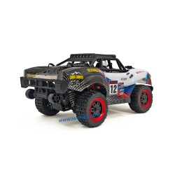 SCY 18104 1/18 rc racing car