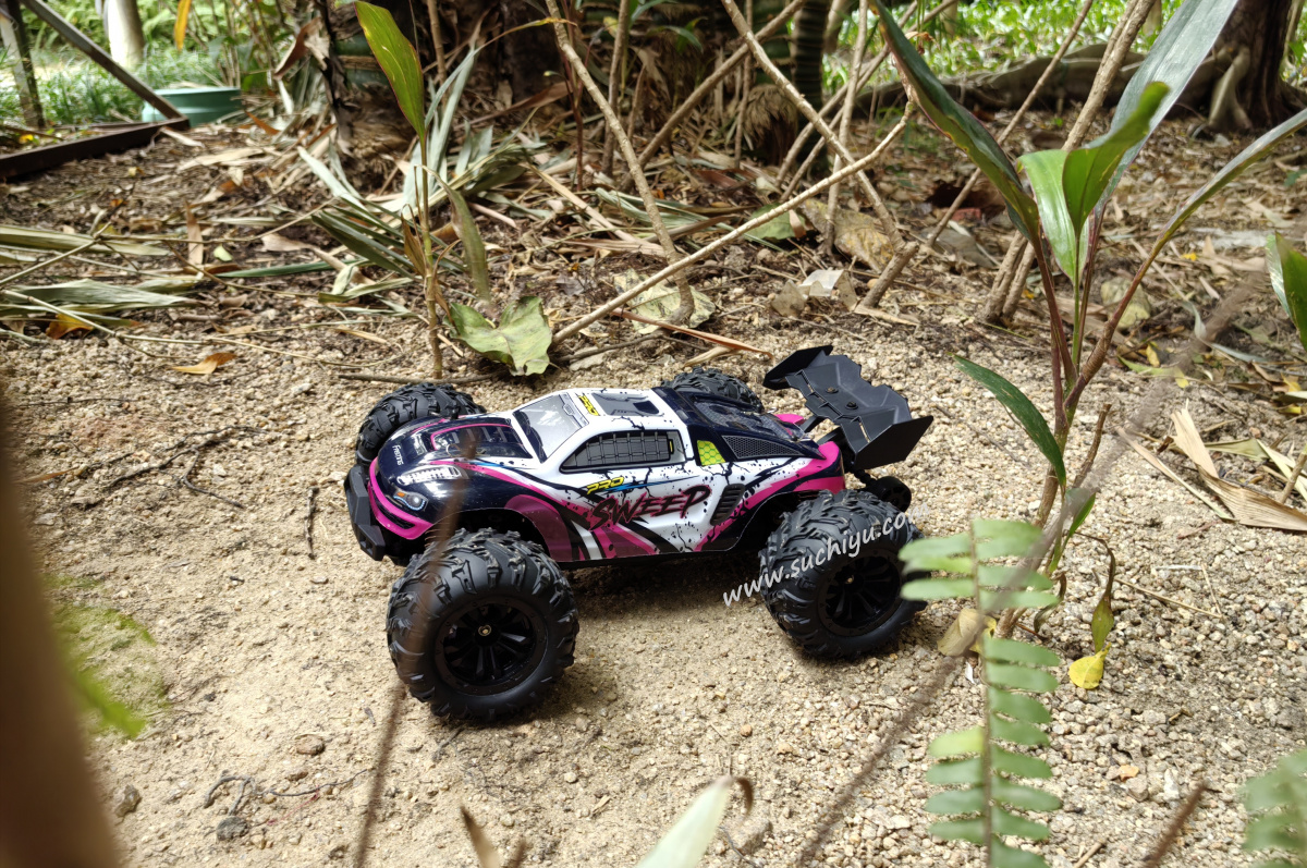 SCY 16101 PRO Brushless 1/16 rc car