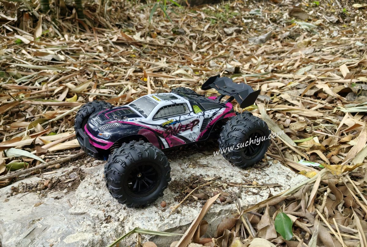 SCY 16101 PRO RC Car