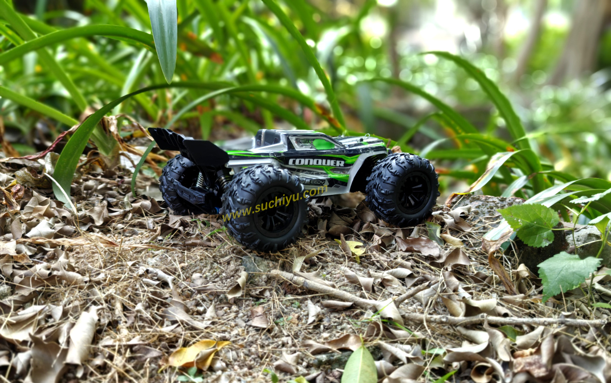 SCY 16102 1/16 RC Car