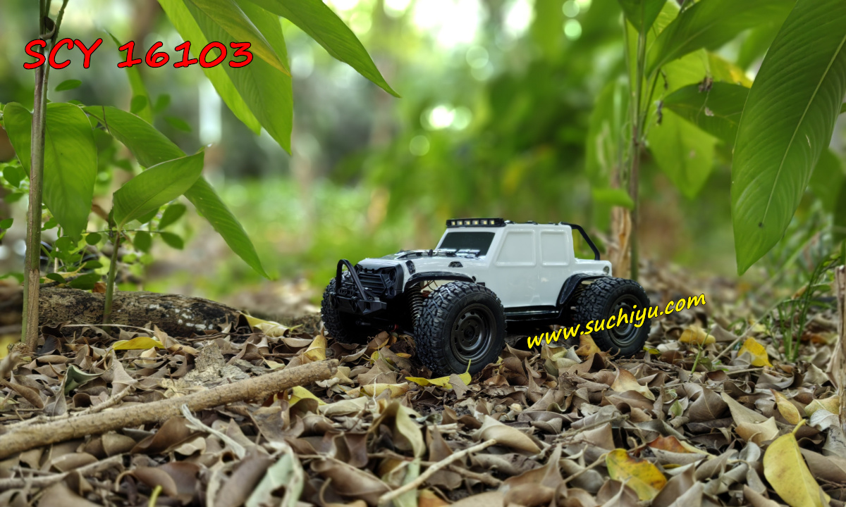 Suchiyu SCY 16103 1/16 2.4G 4WD Brushed Version